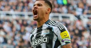 Seru88 Bruno Guimaraes